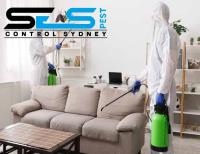 SES Bee Removal Sydney image 8